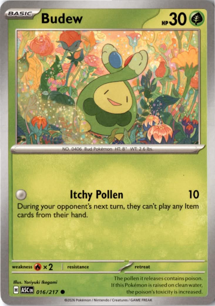 Budew #016/217 - Ascended Heroes - Pokemon - Common - Near Mint