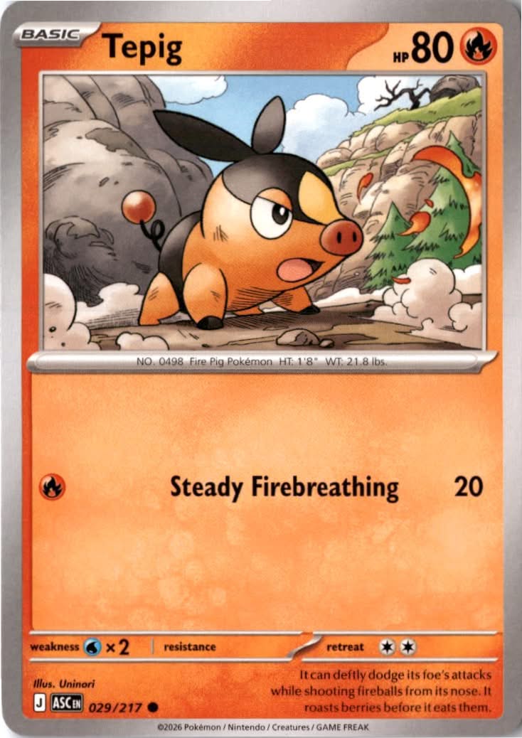 Tepig #029/217 - Ascended Heroes - Pokemon - Common - Near Mint