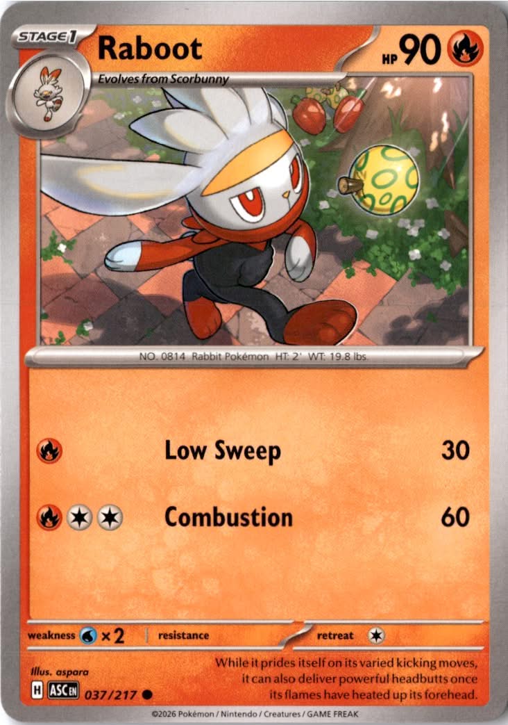Raboot #037/217 - Ascended Heroes - Pokemon - Common - Near Mint