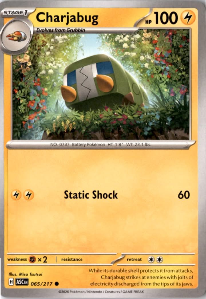Charjabug #065/217 - Ascended Heroes - Pokemon - Common - Near Mint
