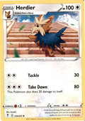 Herdier #134/203 - Evolving Skies - Pokemon - Uncommon - Near Mint