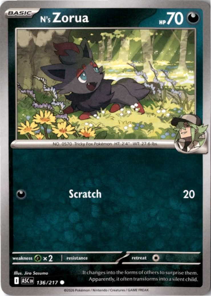 N's Zorua #136/217 - Ascended Heroes - Pokemon - Common - Near Mint